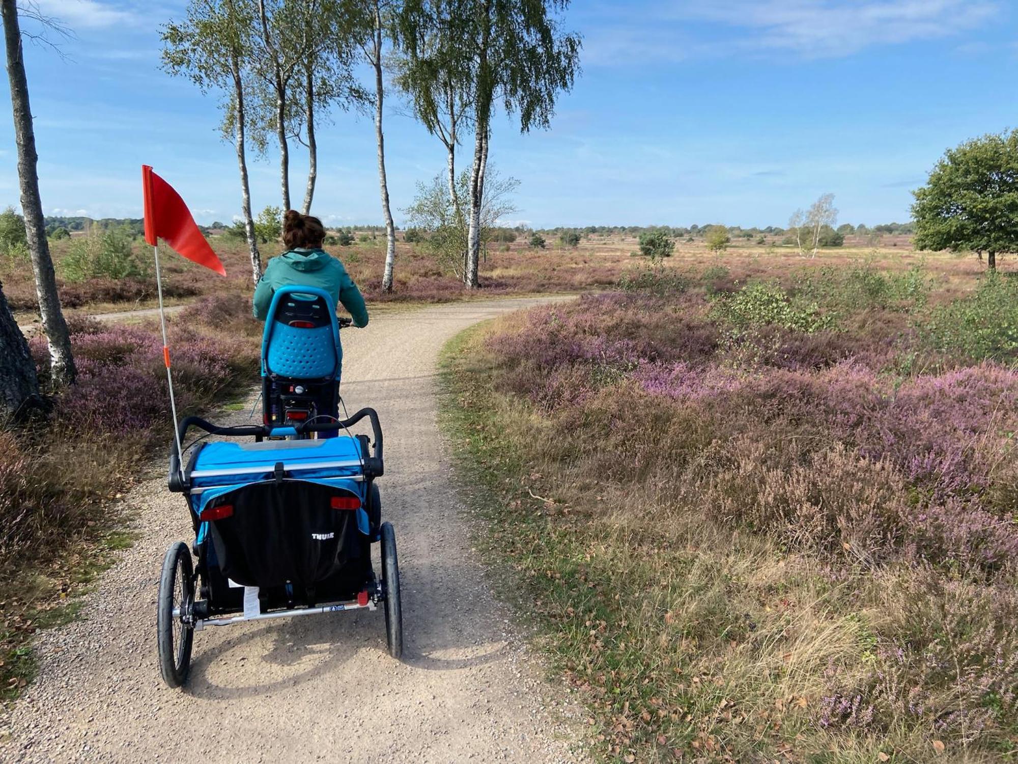 Vakantiehuis Vliegend Hert Veluwe Nunspeet Εξωτερικό φωτογραφία